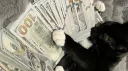 Catboy Kingdom banner