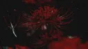 18+ spiderlilies ⋆.˚˖࿔ ࣪ server banner