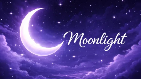 🌙 | Moonlight banner