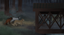 Hitherto, Hereafter server banner