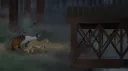 Hitherto, Hereafter Discord server banner