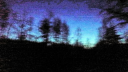 think i lost my mind server banner
