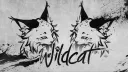 Wildcat banner