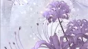 Wishing Well banner