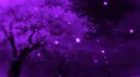 OM Hangout Discord server banner