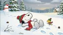 ♡ 𝙖𝙙𝙤𝙧𝙚 Discord server banner