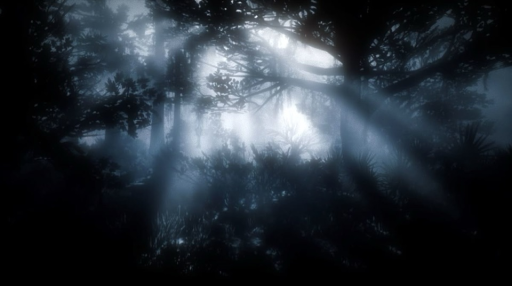 millionaires Discord server banner