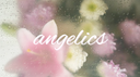 ʚᄋɞ ┊ 𝒶𝓃𝑔𝑒𝓁𝒾𝒸𝓈 Banner
