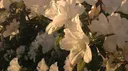 ᴍ;ɴᴅ ᴏᴠᴇʀ ᴍᴀᴛᴛᴇʀ│¹⁸+ Discord server banner