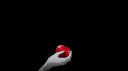 ⋆ 𓂅 🍎 purgatory parador ¹⁸⁺ Discord server banner