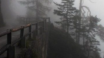 ⋆。˚ 𖤓 ˚ 𓈒 ⌣ ╱ 𝒮ummerℱield Discord server banner