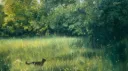 Mystic Hollow 18+ server banner