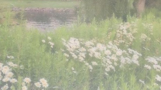 𑄝 .gg/re⑅sint 𓐇۪ ॱֺּ♡݂ $3 basic nitro GIVEAWAY !! Discord server banner