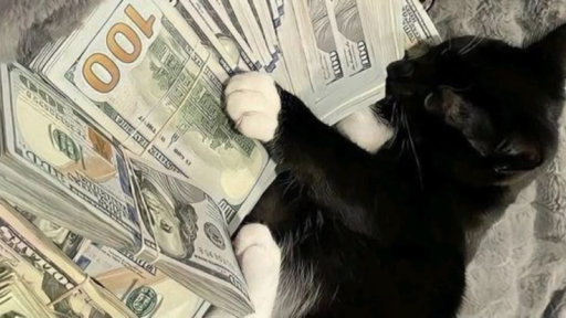 xoxo Discord server banner