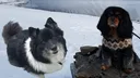 banner