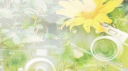 🌾 ៹   𝐇𝐄𝐑𝐎 𝐒𝐘𝐍𝐃𝐑𝐎𝐌𝐄 ׅ    ੭ server banner