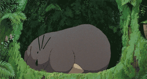 โ cษlico 16โบ ; gaming Discord server banner