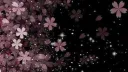 Mişa'nın minik privi banner