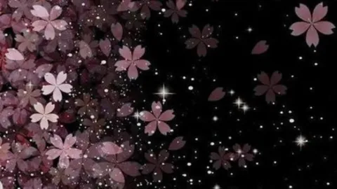 Mişa'nın minik privi banner