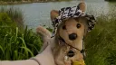 ⛰🐾 The Plushie Den Discord server banner