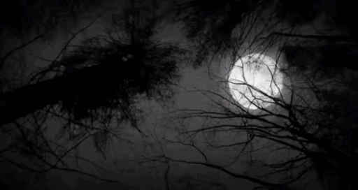 𝖦𝗁𝐨𝗌𝗍𝗂𝗇𝗀 Discord server banner