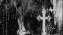 𓆩 𝐂𝔲𝔭𝔦𝔡𝔰 ❦ 𝐂𝔬𝔯𝔫𝔢𝔯 𓆪 Discord server banner