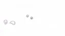 Paw Studio | Roblox Discord server banner
