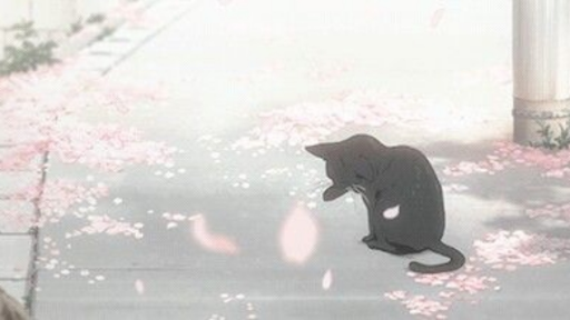 DM LAND Discord server banner