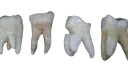 ♱     .     gnaw   `      𓈒    ໒꒱ banner