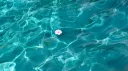 The Sea Lounge Discord server banner