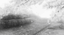 elysían banner