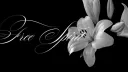 Nexus server banner