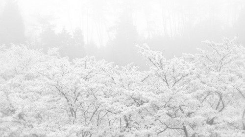 evagarden Discord server banner