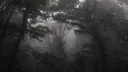 𝐍𝐨𝐫𝐭𝐡𝐞𝐫𝐧𝐳 banner