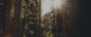 The Fox Den Discord server banner