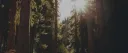 The Fox Den Discord server banner