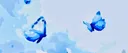 🐈🎐 lovecat 🦋 Discord server banner