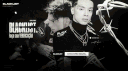BL banner