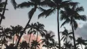Seen® Discord server banner