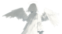 Kαirο Lαb 周杰倫🤍 Banner