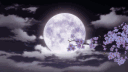 MoonFall  ⋆.˚ ☾⭒.˚ server banner