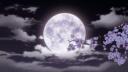 MoonFall  ⋆.˚ ⭒.˚ Banner