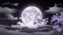 MoonFall ⋆.˚ ☾⭒.˚ Discord server banner