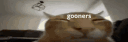 ServerSweep#5012 banner