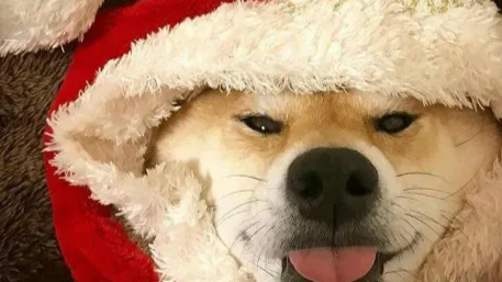 The Sidewalk Discord server banner