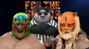 Supreme Wrestling Frontier banner