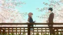 🎐 ⁺ ♡  /cutesy  ⊧ tags . egirls . ask2dm . hangout . friends . sfw . dm . non dating . chat banner