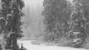 /static server banner