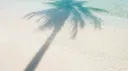 ♡ give me ノtaffy . social . #staffapps Discord server banner