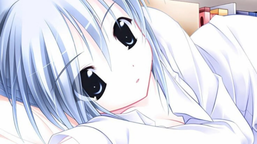 Sweetpaw palace 🪽 Discord server banner